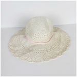 Banana Republic Straw Floppy Sun Hat Photo 1
