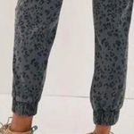 Cloth & Stone  gray leopard print drawstring jogger pants size xs Photo 10