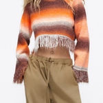 ZARA Fringe Striped Cropped Sweater Photo 0