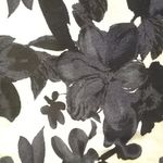 Eliane Rose FINAL MARKDOWN  slacks 18w Photo 3