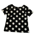 ZARA  Women Size Large Crop Top Fitted Polka Dot Shirt Blouse Black (19-227P) Photo 1