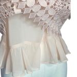 Sandro Paris Claude Nude Pink Lace
Peplum Top Size 3 (L)E10851E Photo 4