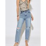 Womens Francesca’s Collections Meraki Zoey Animal Print Mesh Bodysuit Photo 2