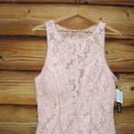 XScape NWT  Fit & Flare Lace Mini Dress Photo 4