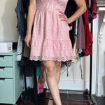 Betsey Johnson  Jessica Pink Lace Minidress Size Medium Photo 2