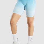 Gymshark Adapt Ombre Seamless Shorts Photo 0