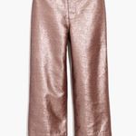 Madewell  Slim Emmett Wide Leg Crop Pants in Metallic Brown Size 31 Photo 3