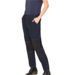 Free People Sandrine Rose x Pants Size 27 NWT French Worker Blue/Black Pinstripe Photo 11