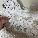 Amur  Crochet Lace Flutter Sleeve Mini Dress White Womens 6 Photo 5