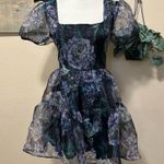 Exceptional Fate Black Floral Organza Puff Sleeve Mini Dress Size L Photo 0