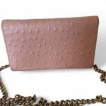 Kate Spade Alexander ISABELI Pink Ostrich Embossed Silver Chain Crossbody Bag Photo 1