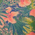 Lilly Pulitzer  Finn T shirt Dress Large Photo 1