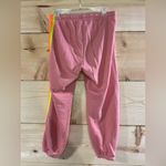 Aviator Nation  5 Stripe Sweatpants Photo 4