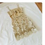 Lucy in the Sky ★  Moira Floral Embroidered Dress in White Nude ★ Photo 6