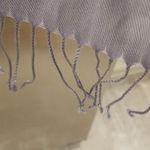 Pashmina 💕💕 Lavender Fringe Scarf Photo 1