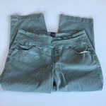 Jag jeans Felicia Classic Fit Pull On Ankle Pants Womens Plus Size 14 Teal Photo 1