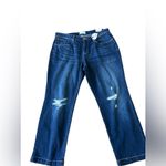 Lane Bryant  Women's High Rise Jegging Jeans‎ Blue Size M Embellished Photo 11