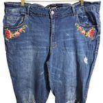 Dollhouse Blue Denim Jeans Size 24 Photo 1