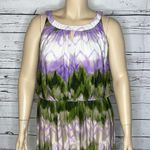 Dress Barn  Woman Size 16 Purple & Green Chevron Stripe High-Neckline Maxi Dress Photo 1