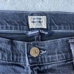 Citizens of Humanity  Elsa Mid Rise Slim Fit Crop Jeans Photo 1