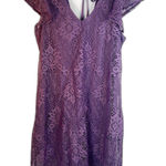 Francescas Lace Flutter Sleeve Vneck Aline Dress Fairy Whimsy Feminine Size LG Purple Photo 0