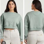 Everlane organic cotton cropped crewneck sweatshirt Photo 1