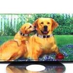 Yellow Labrador Retriever Wallet Checkbook New Green Photo 0