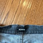 Hudson Jeans Hudson Kass grey wash high rise denim shorts 27 Photo 3