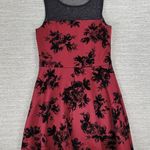 Trixxi VTG Skater Dress Womens M Burned Out Velvet Roses Fit & Flare y2k Party Photo 0