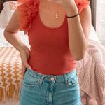 Anthropologie Burnt Orange Organza Top  Photo 0