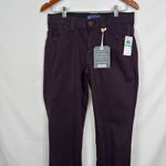 Democracy  Natalie Dark Purple Ab Solution Straight Leg Colored Jean Size 8 NWT Photo 8