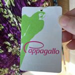Pappagallo Vibrant Purple and Green Tank Top medium nwt Photo 2