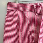 A New Day NWT Striped Pink & White Cotton Shorts with Belt Size XXL Photo 1