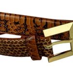 The Ritz Genuine Snake Skin Belt Sz XL Brown Black Photo 1
