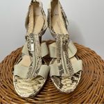 Alexandre Birman  Snakeskin Platform Zip Heels Snake 9‎ B 40 Sexy Natural Photo 1