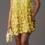 Anthropologie  Maeve Sleeveless Floral Appliqué Mini Dress Photo 7