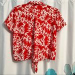 Pink Rose Tropical tie front top Photo 1