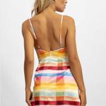 Blackbough  Harlow Mini Dress Photo 1