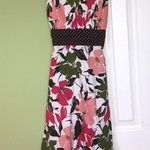 Taboo  Dress Photo 0