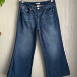 Torrid  Festi Baggy Low-Rise Wide Leg Jean Women’s Size 10 Short Photo 0