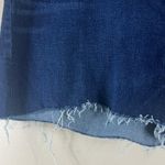 Madewell Curvy High Rise Denim Shorts in Canterdale Wash Photo 4