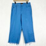 Judy Blue  High Rise Wide Leg Crop Jeans Size 14W Sky Blue Tummy Control Raw Hem Photo 2