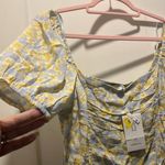 Sophie Rue NWT , size L. Cropped top. Elastic back Photo 3