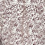 EXPRESS Shirt Womens Medium Brown White Abstract Animal Print Portofino Office Photo 5