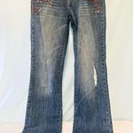 Vintage American Eagle Embelished Straight Leg Jeans Stretch Bohemian Blue Size 4 Photo 0