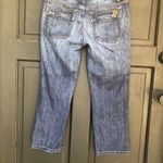 joe's jeans Honey Crop in Aimee Jeans Photo 3