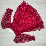 Thirty thirty Allison & Kelly Long Sleeve 3D Butterfly Mesh Mini Dress xs spring Red Photo 6