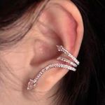 Snake Ear bones clip NWT Photo 1