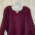 Terra & Sky  Maroon Scoop Neck Polka Dot Long Sleeve Top 3X Photo 3