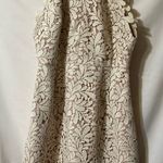 Stylestalker  Blush and Cream Lace Dress Photo 2
